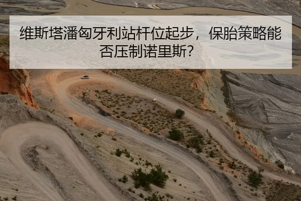维斯塔潘匈牙利站杆位起步，保胎策略能否压制诺里斯？