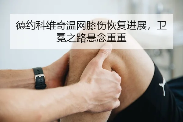 de-yue-ke-wei-qi-wen-wang-xi-shang-hui-fu-jin-zhan-wei-mian-zhi-lu-xuan-nian-chong-chong-2-114.jpg
